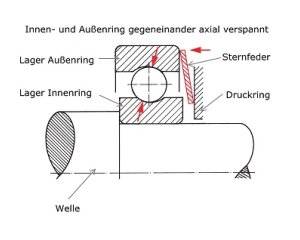 Sternfeder