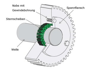 Sternscheibe